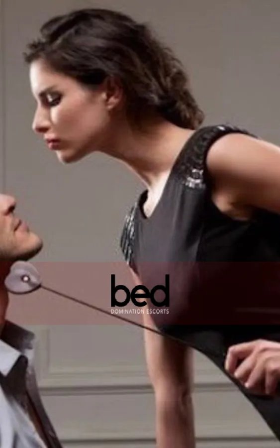 Image for The Types of Dom-Sub Relationships