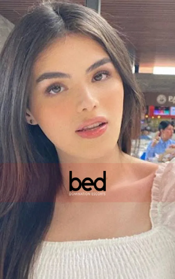 Image for Attracted to Shemales?
