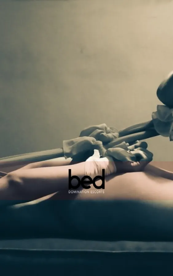 Image for Different Types of Sexual Bondage