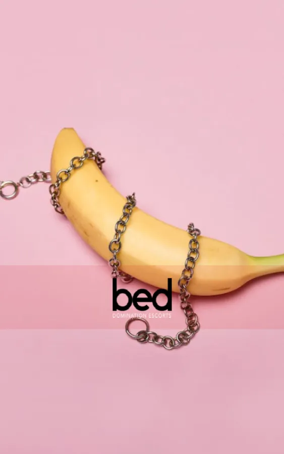 Image for 5 Domme Services For Beginners