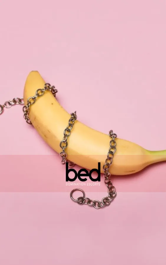 Placeholder image for 5 Domme Services For Beginners