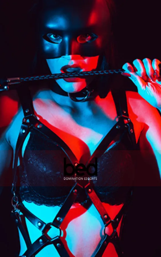 Image for How to Serve Your Mistress Properly 