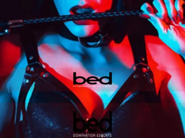 Placeholder image for How to Serve Your Mistress Properly 