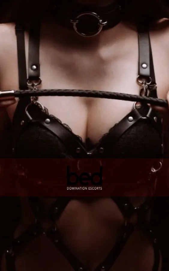 Placeholder image for BDSM on a Budget