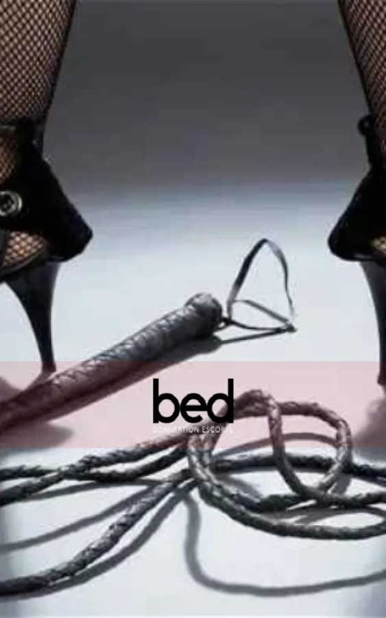 Image for The Difference Between Soft & Hard Domination