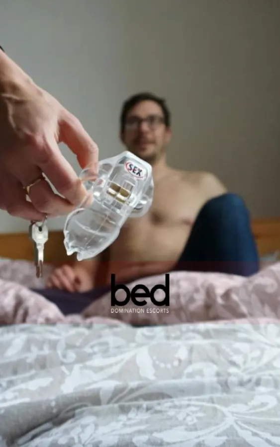 Image for A Beginner's Guide to Male Chastity