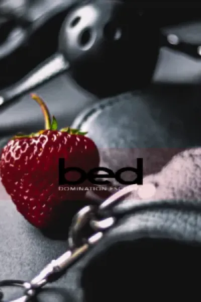 A Guide to Safe BDSM Explorations