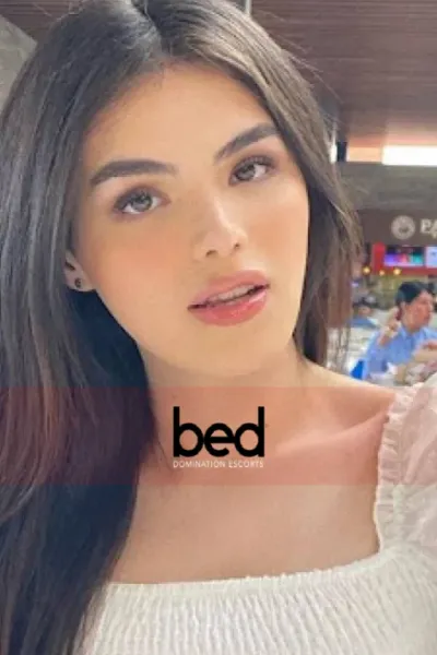 Attracted to Shemales? 